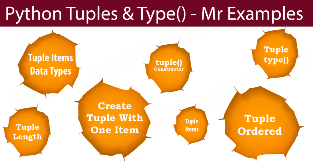 Python Tuples & Types Mr Examples
