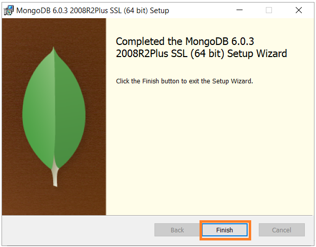 install mongodb setup wizard step8