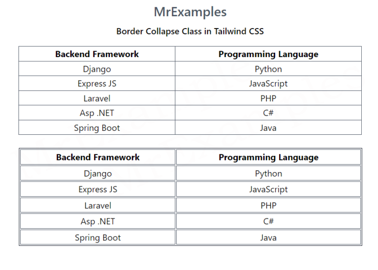 Tailwind Border Collapse - Mr Examples